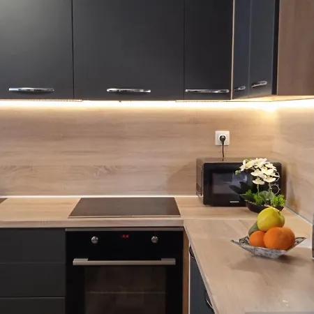 公寓 Sea Sunrise 布尔加斯